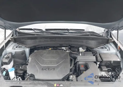 2024 Kia Telluride Sx Prestige X-Line из США, поврежденный, VIN 5XYP5DGC3RG521552